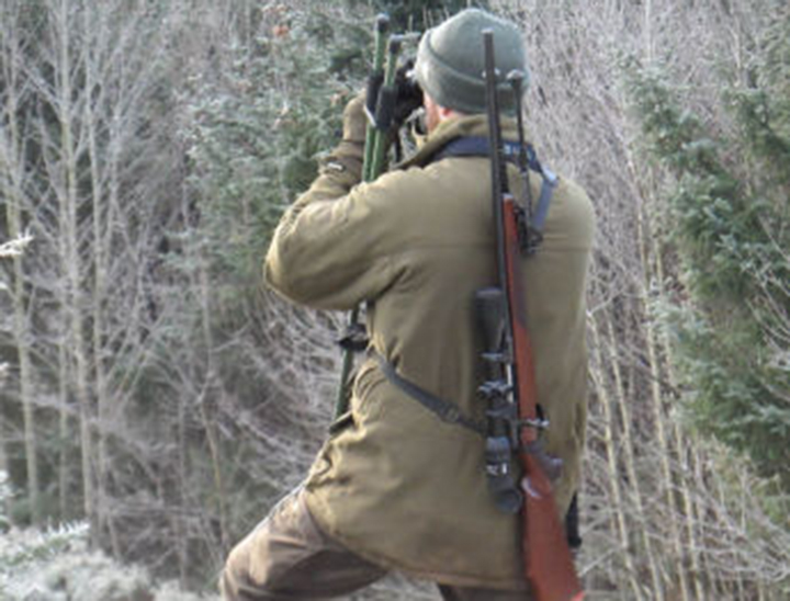 Glenericht Stalking Image